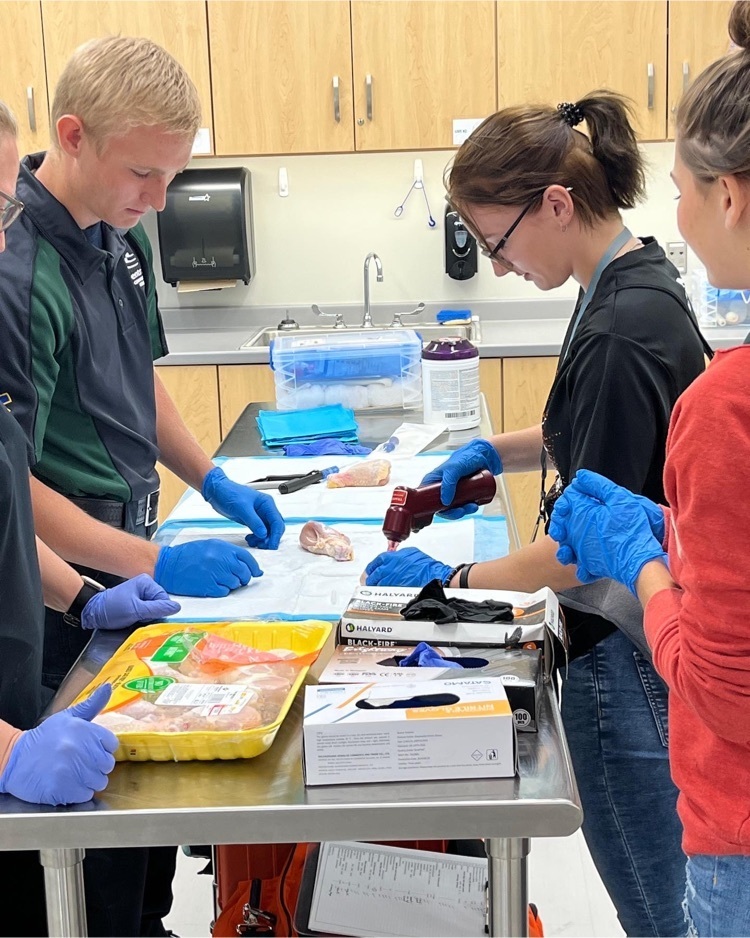 Live Feed Giltner Public Schools